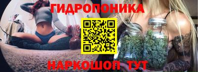 a pvp Кингисепп