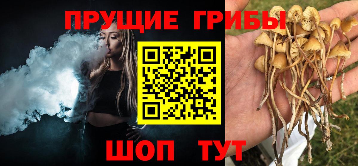 Красноармейск  Псилоцибиновые грибы Cubensis  Вход с VPN  Псилоцибиновые грибы MAGIC MUSHROOMS 